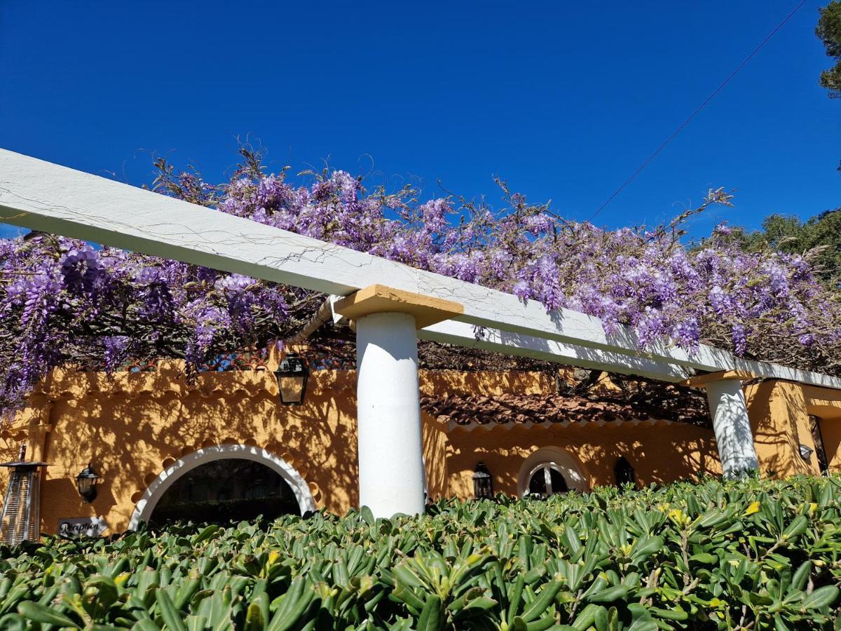 Le Cosy Hotel Saint Aygulf Exterior foto